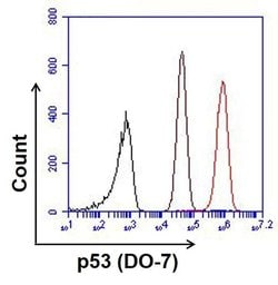 Invitrogen&trade;&nbsp;Mouse IgG2b Isotype Control (NCG2B.01)