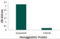 Invitrogen Influenza A H1N1 HA Monoclonal Antibody (7H12F6) 100 &mu;g;