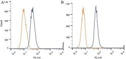 Invitrogen Desmoglein 3 Monoclonal Antibody (5G11) 100 &mu;L; Unconjugated:Antibodies,