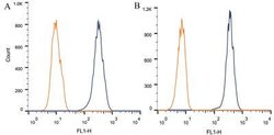 Invitrogen ABCA1 Monoclonal Antibody (HJ1) 100 &mu;L; Unconjugated:Antibodies,