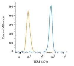 Invitrogen TERT Monoclonal Antibody (2C4) 100 &mu;L | Buy Online | Invitrogen&trade; | Fisher Scientific