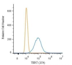 Invitrogen TERT Monoclonal Antibody (2C4) 100 &mu;L | Buy Online | Invitrogen&trade; | Fisher Scientific
