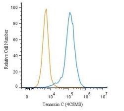 Invitrogen Tenascin C Monoclonal Antibody (4C8MS) 100 &mu;L; Unconjugated:Anticorps,