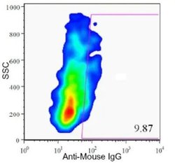 Invitrogen HPa1 Monoclonal Antibody (DHIC2-2C12) 100 &mu;L; Unconjugated:Antibodies,