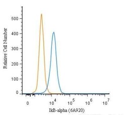 Invitrogen IkB alpha Monoclonal Antibody (6A920) 100 &mu;g; Unconjugated:Antibodies,