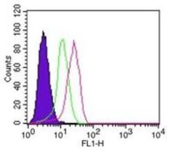 Invitrogen IkB alpha Monoclonal Antibody (6A920) 100 &mu;g; Unconjugated:Antibodies,