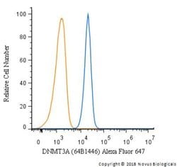 Invitrogen DNMT3A Monoclonal Antibody (64B1446) 100 &mu;g; Unconjugated:Antibodies,