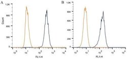 Invitrogen DNMT3A Monoclonal Antibody (64B1446) 100 &mu;g; Unconjugated:Antibodies,