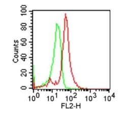 Invitrogen TLR2 Monoclonal Antibody (TL2.1), PE 100 &mu;L | Buy Online | Invitrogen&trade; | Fisher Scientific