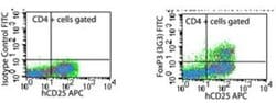 Invitrogen FOXP3 Monoclonal Antibody (3G3) 100 &mu;g; Unconjugated:Antibodies,