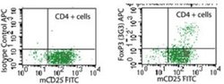 Invitrogen FOXP3 Monoclonal Antibody (3G3) 100 &mu;g; Unconjugated:Antibodies,