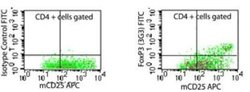 Invitrogen FOXP3 Monoclonal Antibody (3G3) 100 &mu;g; Unconjugated:Antibodies,