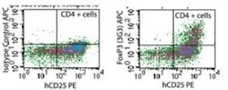 Invitrogen FOXP3 Monoclonal Antibody (3G3) 100 &mu;g; Unconjugated:Antibodies,