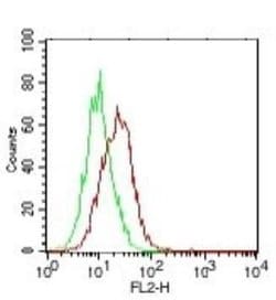 Invitrogen IL-25 Monoclonal Antibody (8B1) 100 &mu;g; Unconjugated:Antibodies,
