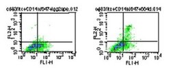 Invitrogen TLR5 Monoclonal Antibody (19D759.2), PE 100 &mu;L; PE:Antibodies,