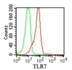 Invitrogen TLR7 Monoclonal Antibody (4G6) 100 &mu;g; Unconjugated:Antibodies,