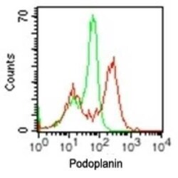Invitrogen Podoplanin Monoclonal Antibody (pmab-1) 100 &mu;g | Buy Online | Invitrogen&trade; | Fisher Scientific