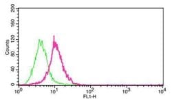 Invitrogen Carbonic Anhydrase IX Monoclonal Antibody (GT12) 100 &mu;L;