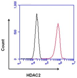 Invitrogen Rabbit IgG Recombinant Isotype Control (SP137) 500 &mu;L | Buy Online | Invitrogen&trade; | Fisher Scientific