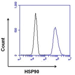 Invitrogen Rabbit IgG Recombinant Isotype Control (SP137) 500 &mu;L | Buy Online | Invitrogen&trade; | Fisher Scientific