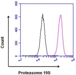 Invitrogen Rabbit IgG Recombinant Isotype Control (SP137) 500 &mu;L | Buy Online | Invitrogen&trade; | Fisher Scientific