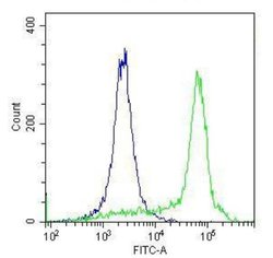 Invitrogen Rabbit IgG Recombinant Isotype Control (SP137) 500 &mu;L | Buy Online | Invitrogen&trade; | Fisher Scientific