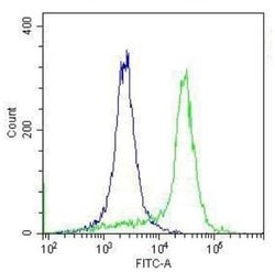Invitrogen Rabbit IgG Recombinant Isotype Control (SP137) 500 &mu;L | Buy Online | Invitrogen&trade; | Fisher Scientific