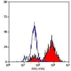 Invitrogen CD68 Monoclonal Antibody (FA-11), Biotin 100 &mu;g; Biotin:Antibodies,