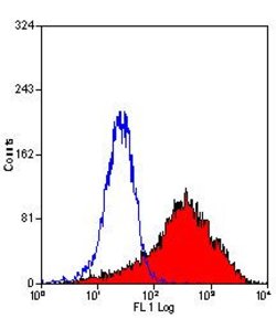 Invitrogen DC-SIGN Monoclonal Antibody (MR-1) 500 &mu;g; Unconjugated:Antibodies,