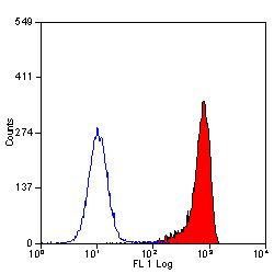 C5AR1 Monoclonal Antibody (S5/1):Antibodies, Monoclonal