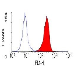 Invitrogen CEACAM1/CEACAM3/CEACAM6 Monoclonal Antibody (YTH71.3) 200 &mu;g;
