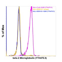 beta-2 Microglobulin Monoclonal Antibody (YTH470.5), PE, Invitrogen 50