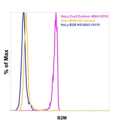 Invitrogen beta-2 Microglobulin Monoclonal Antibody (B2M-01), Alexa Fluor
