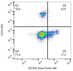 Invitrogen LAMP2 Monoclonal Antibody (H4B4), Alexa Fluor 488 100 Tests;