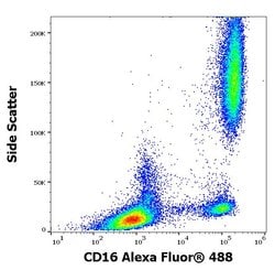 Invitrogen CD16 Monoclonal Antibody (3G8), Alexa Fluor 488 100 Tests | Buy Online | Invitrogen&trade; | Fisher Scientific