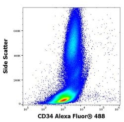 Invitrogen CD34 Monoclonal Antibody (4H11[APG]), Alexa Fluor 488 100 Tests | Buy Online | Invitrogen&trade; | Fisher Scientific