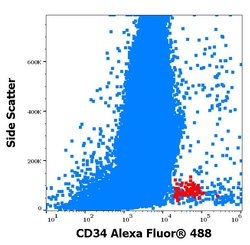 Invitrogen CD34 Monoclonal Antibody (4H11[APG]), Alexa Fluor 488 100 Tests | Buy Online | Invitrogen&trade; | Fisher Scientific