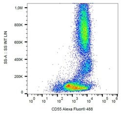 Invitrogen CD55 Monoclonal Antibody (MEM-118), Alexa Fluor 488 100 Tests | Buy Online | Invitrogen&trade; | Fisher Scientific