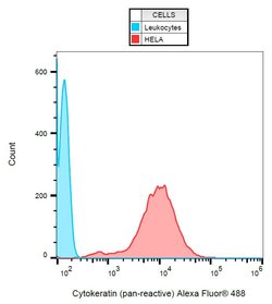 Invitrogen Cytokeratin Pan Monoclonal Antibody (C-11), Alexa Fluor 488