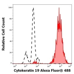 Invitrogen Cytokeratin 19 Monoclonal Antibody (A53-B/A2), Alexa Fluor 488 100 &mu;g | Buy Online | Invitrogen&trade; | Fisher Scientific