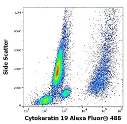 Invitrogen Cytokeratin 19 Monoclonal Antibody (A53-B/A2), Alexa Fluor 488 100 &mu;g | Buy Online | Invitrogen&trade; | Fisher Scientific