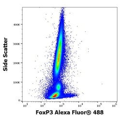 Invitrogen FOXP3 Monoclonal Antibody (3G3), Alexa Fluor 488 100 &mu;g;
