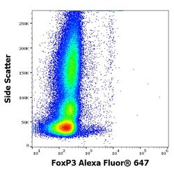 Invitrogen FOXP3 Monoclonal Antibody (3G3), Alexa Fluor 647 100 &mu;g | Buy Online | Invitrogen&trade; | Fisher Scientific