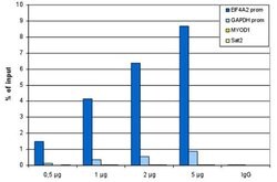 Invitrogen H3K27ac Monoclonal Antibody, ChIP-Verified 10 &mu;g; Unconjugated:Antibodies,