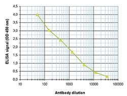 Invitrogen Phospho-Histone H2B (Ser14) Monoclonal Antibody 50 &mu;g; Unconjugated:Antibodies,