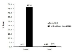 Invitrogen 5-hydroxymethylcytosine Monoclonal Antibody (3I7) 100 &mu;L;