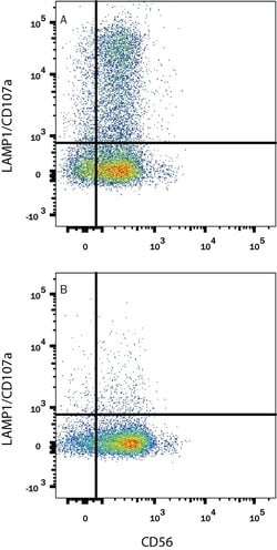 Invitrogen LAMP1 Monoclonal Antibody (508921), PE 100 Tests; PE:Antibodies,