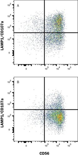 Invitrogen LAMP1 Monoclonal Antibody (508921), PE 100 Tests; PE:Antibodies,