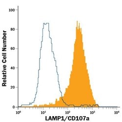 Invitrogen LAMP1 Monoclonal Antibody (508921), PE 100 Tests; PE:Antibodies,