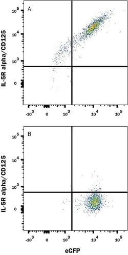 Invitrogen IL5RA Monoclonal Antibody (26815), APC 100 Tests | Buy Online | Invitrogen&trade; | Fisher Scientific